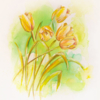 Gelbe-Tulpen Aquarell Papier 30x40